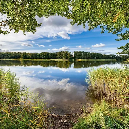 Müritz Ferienhaus In Seenähe Gross Kelle